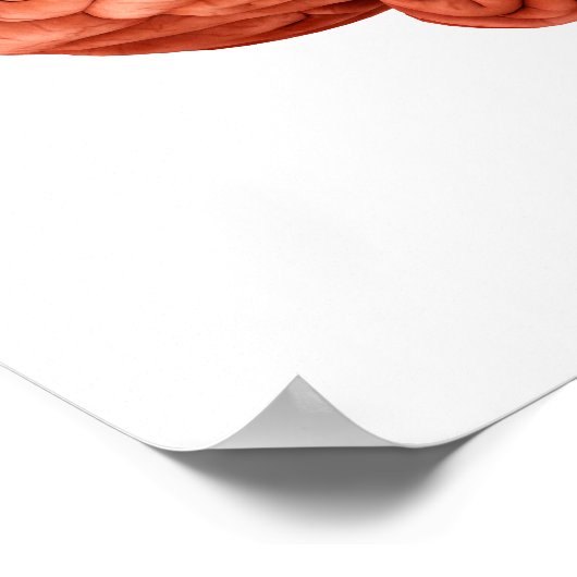 Poster Anatomie Du Cerveau Humain, Vue Secondaire 2 (Coin)