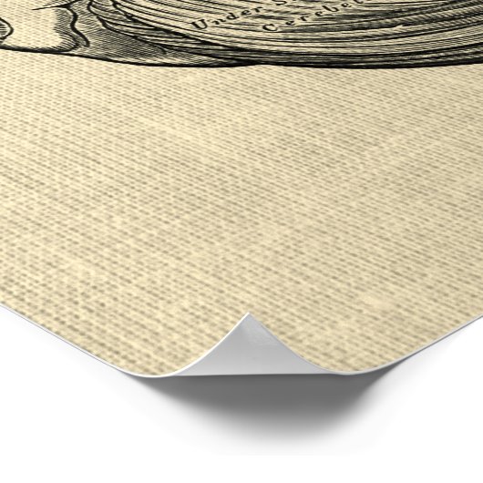 Poster Anatomie du cerveau n° 3 Art avec Arrière - plan d (Coin)