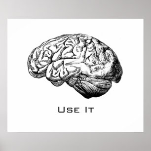Poster Anatomie du cerveau - Utilisez-le