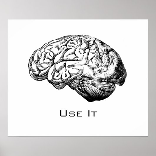 Poster Anatomie du cerveau - Utilisez-le (Devant)