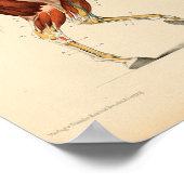 Poster Anatomie du cheval vintage Imprimer les muscles (Coin)