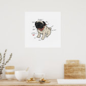 Poster Anatomie Du Chien Carlin Graphique (Cuisine)