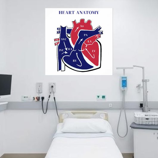 Poster Anatomie du cœur-