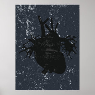 Poster Anatomie du coeur banquette