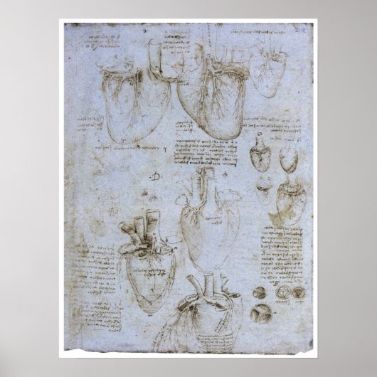 Poster Anatomie du Coeur Humain, Léonard de Vinci (Devant)
