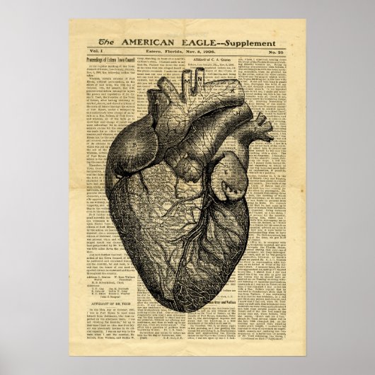 Poster Anatomie du coeur humain sur le journal (Devant)