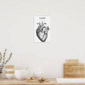 POSTER ANATOMIE DU COEUR VINTAGE (Cuisine)