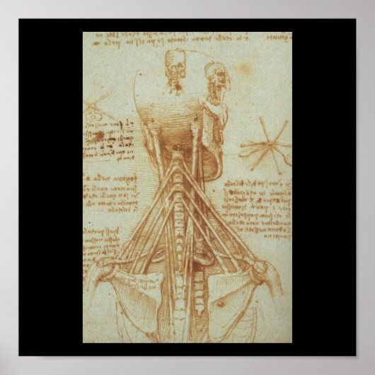 Poster Anatomie du cou par Léonard de Vinci c. 1515 (Devant)