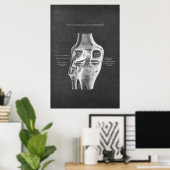 Poster Anatomie du genou Vue postérieur (Bureau à domicile)