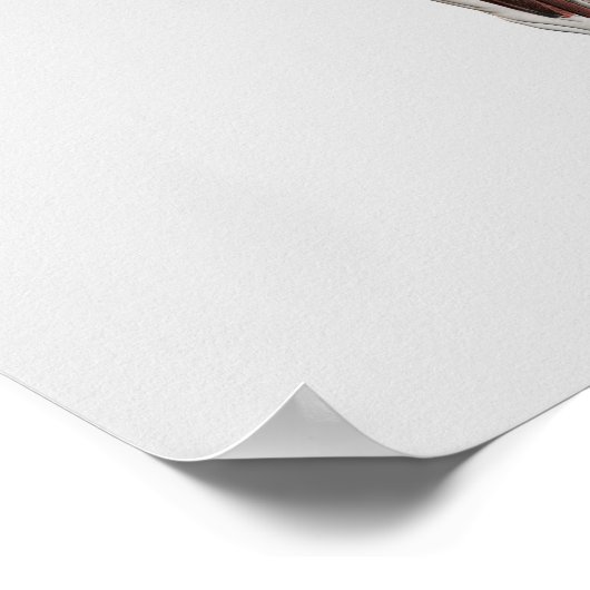 Poster Anatomie Du Système Musculaire Masculin, Vue Côtiè (Coin)