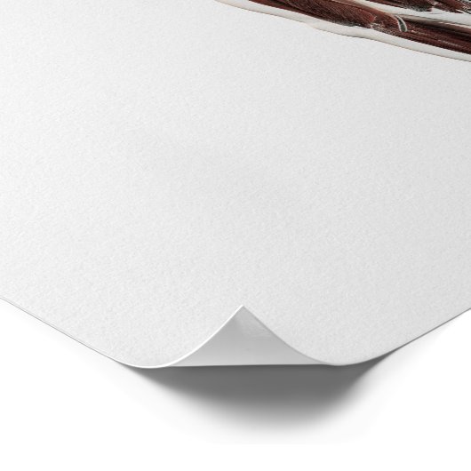 Poster Anatomie Du Système Musculaire Masculin, Vue Côtiè (Coin)