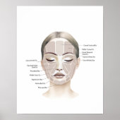 Poster Anatomie du visage Beauté Art (Devant)
