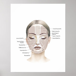 Poster Anatomie du visage Beauté Art