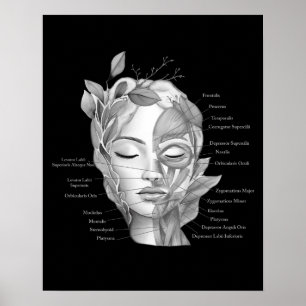 Poster Anatomie du visage Muscles faciaux Med Décor Spa