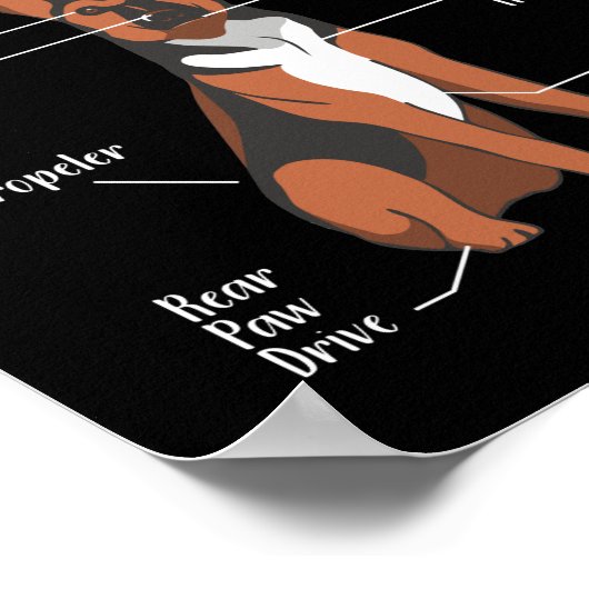 Poster Anatomie d'un berger allemand maman chien (Coin)