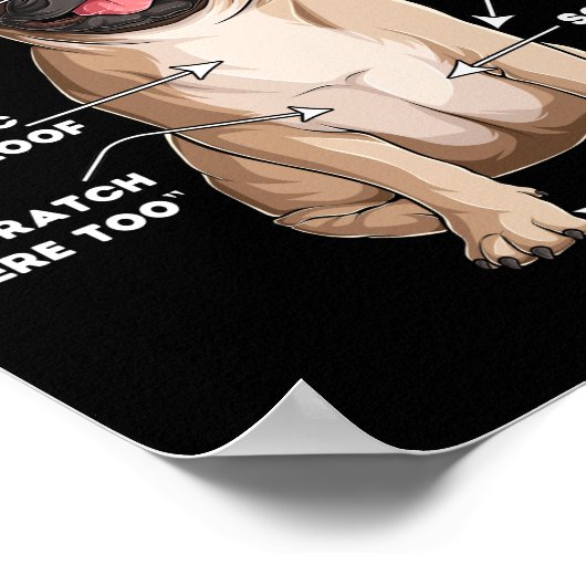 Poster Anatomie d'un Carlin (Coin)