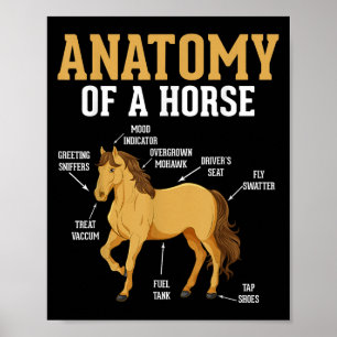 Poster Anatomie D'Un Cheval Drôle Equestre Nighs Horse Lo