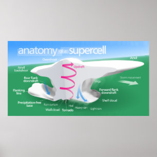 Poster Anatomie d'un diagramme de tempête de Supercell