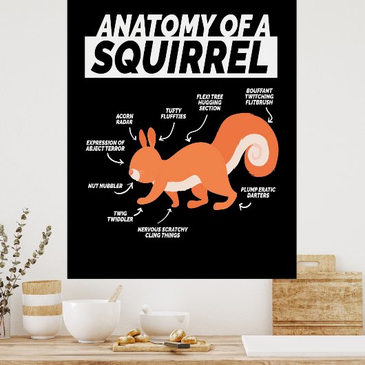 Poster Anatomie D'Un Écureuil (Cuisine)