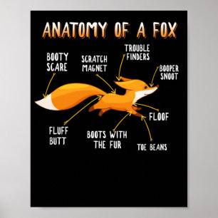 Poster Anatomie D'Un Fox Cute Sweet Carnivore Cadeau Anim