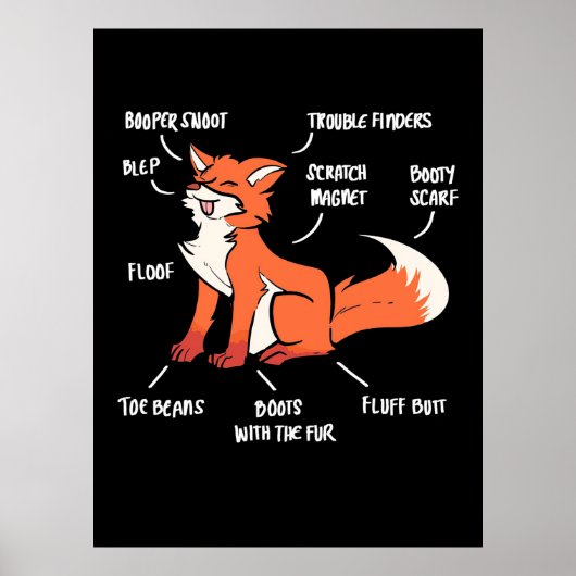 Poster Anatomie D'Un Renard (Devant)