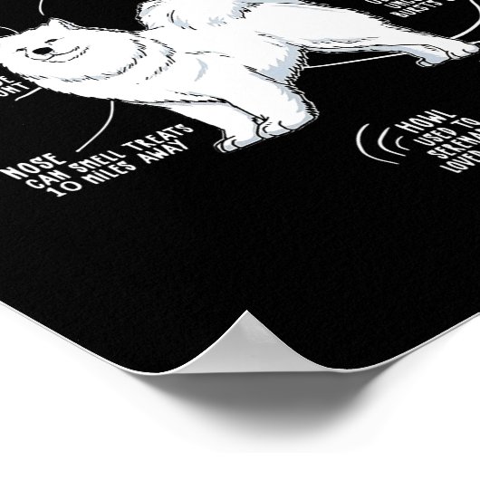 Poster Anatomie d'un Samoyé pour quatre maman Papa aime l (Coin)