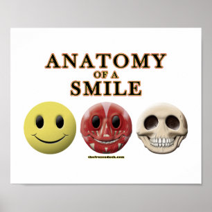 Poster Anatomie d'un sourire