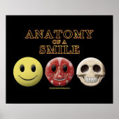 Poster Anatomie d'un sourire (Devant)