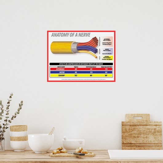 Poster Anatomie d'une nerve 2015 (Cuisine)