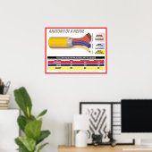 Poster Anatomie d'une nerve 2015 (Bureau à domicile)