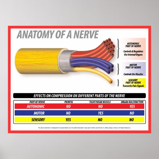 Poster Anatomie d'une nerve 2015 (Devant)