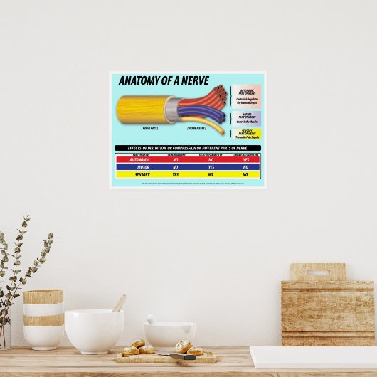 Poster Anatomie d'une Nerve édition 2016 (Cuisine)