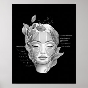 Poster Anatomie faciale Graisse Pad Décor beauté