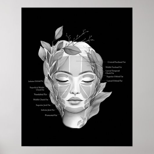 Poster Anatomie faciale Graisse Pad Décor beauté (Devant)