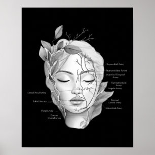 Poster Anatomie faciale montrant des vaisseaux sanguins