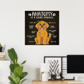 Poster Anatomie Golden Retriever | Golden Retriever Lover (Bureau à domicile)
