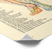 Poster Anatomie Graphique Artères Veines Nerves Vintage (Coin)