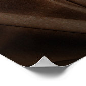 Poster Anatomie humaine, colonne vertébrale et brins ADN (Coin)