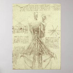 Poster Anatomie humaine colonne vertébrale par Leonardo d