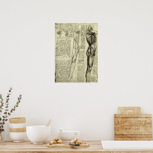 Poster Anatomie humaine Muscles masculins par Leonardo da (Cuisine)