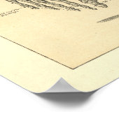 Poster Anatomie humaine Squelette et muscles du corps (Coin)