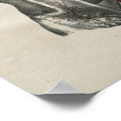 Poster Anatomie humaine Thorax Imprimer Vintage (Coin)