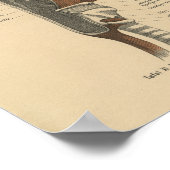 Poster Anatomie humaine vintage Imprimer Muscles Cou (Coin)