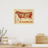 Poster Anatomie interne vétérinaire de bovins (Cuisine)