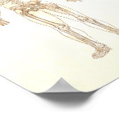 Poster anatomie musculaire - Antérieur et postérie (Coin)