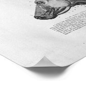 Poster Anatomie musculaire de vache Imprimer Vintage (Coin)