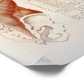 Poster Anatomie musculaire dos cou Imprimer Français (Coin)