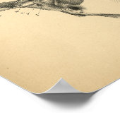 Poster Anatomie musculaire du cou du cheval 1908 Impressi (Coin)