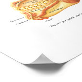 Poster Anatomie musculaire du visage et du cou (Coin)