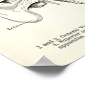 Poster Anatomie - Sens humains (Coin)